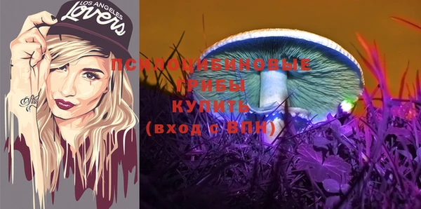 2c-b Магадан