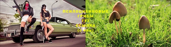 2c-b Магадан
